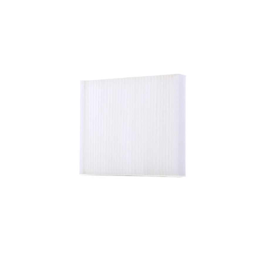 Master Sport 2442-IF-PCS-MS Pollen Filter