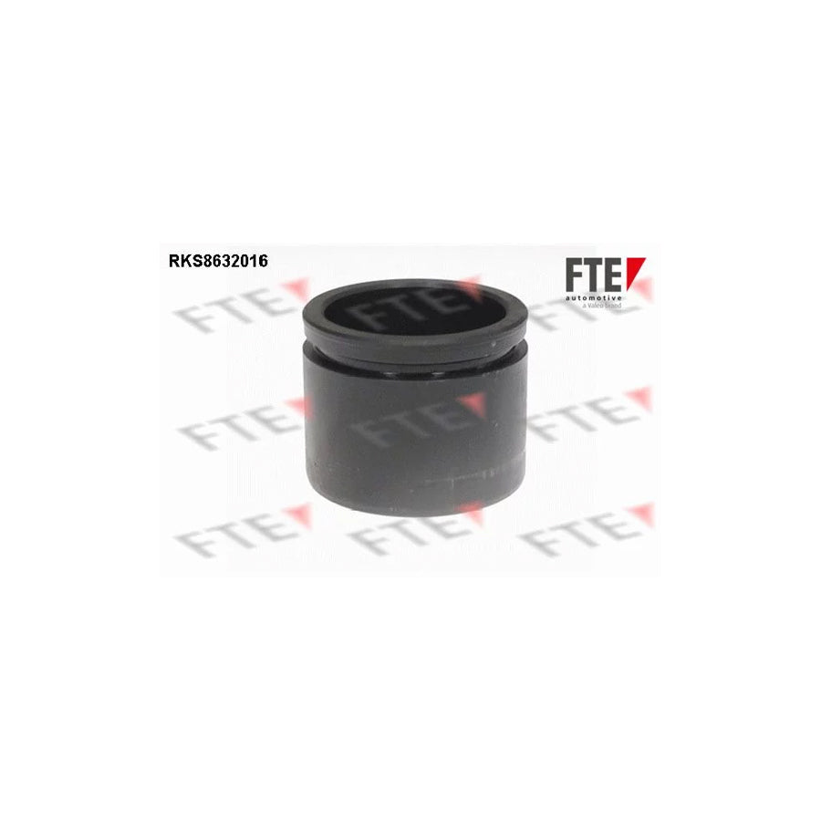 FTE 9313265 Piston, Brake Caliper