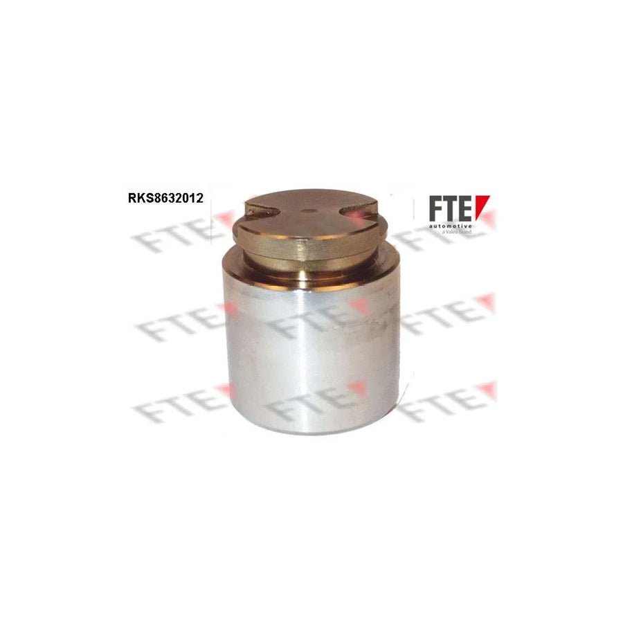 FTE 9313262 Piston, Brake Caliper