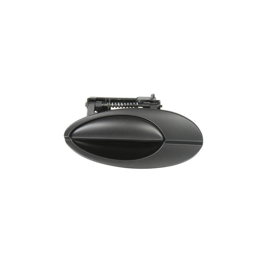 Blic 6010-21-020403P Door Handle for Citroen C5