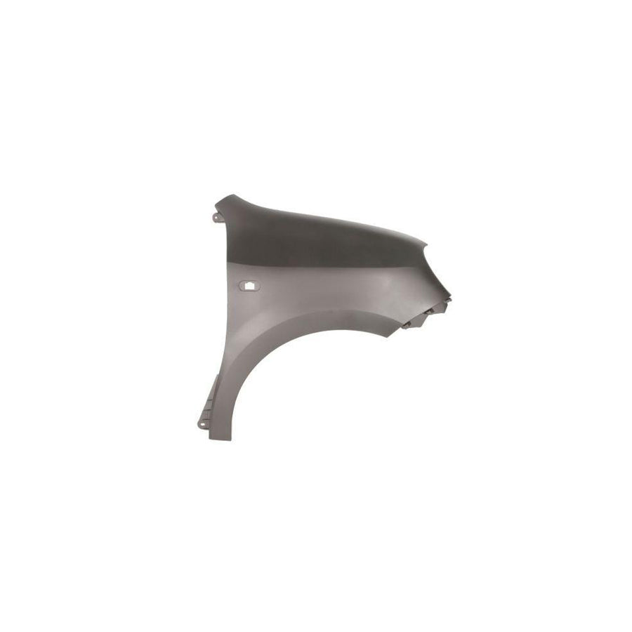 Blic 6504-04-6004312P Wing Fender for Renault Twingo III Hatchback (Bcm)