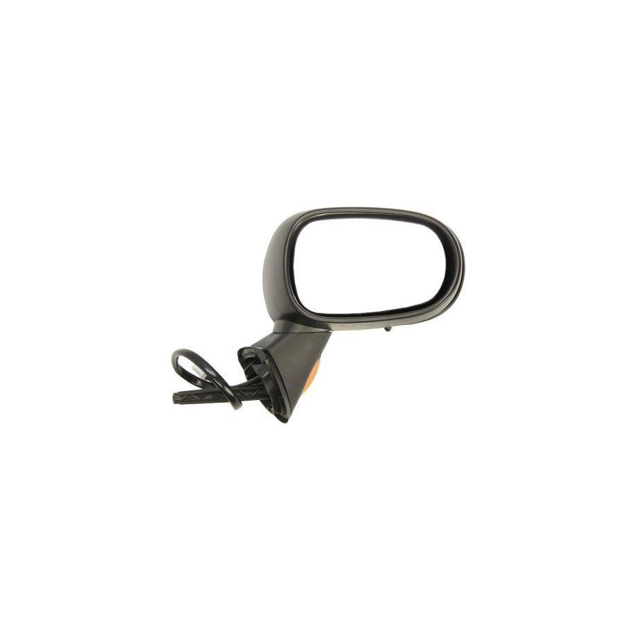 Blic 5402-04-1132179P Wing Mirror for Renault Modus / Grand Modus (F, Jp)