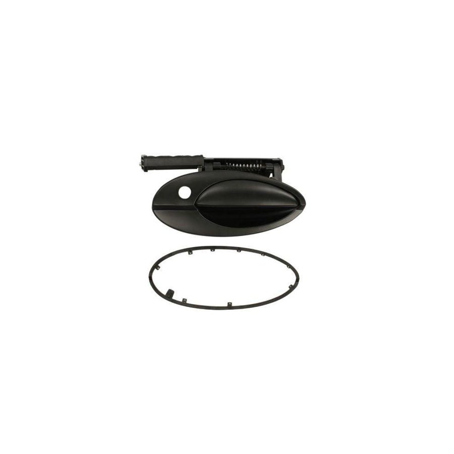 Blic 6010-21-020402P Door Handle for Citroen C5