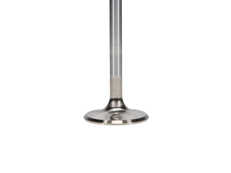 Manley Performance Manley Ford 4.6L/5.4L DOHC 4V 37mm Dia 5.339in Length Bead Loc Race Master Intake Valves (Set of 8)