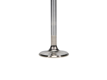 Manley Performance Manley Ford 4.6L/5.4L DOHC 4V 37mm Dia 5.339in Length Bead Loc Race Master Intake Valves (Set of 8)