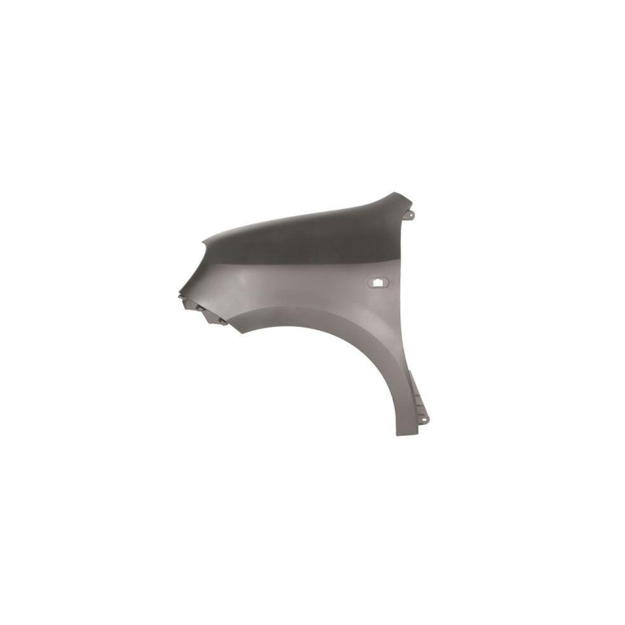 Blic 6504-04-6004311P Wing Fender for Renault Twingo III Hatchback (Bcm)