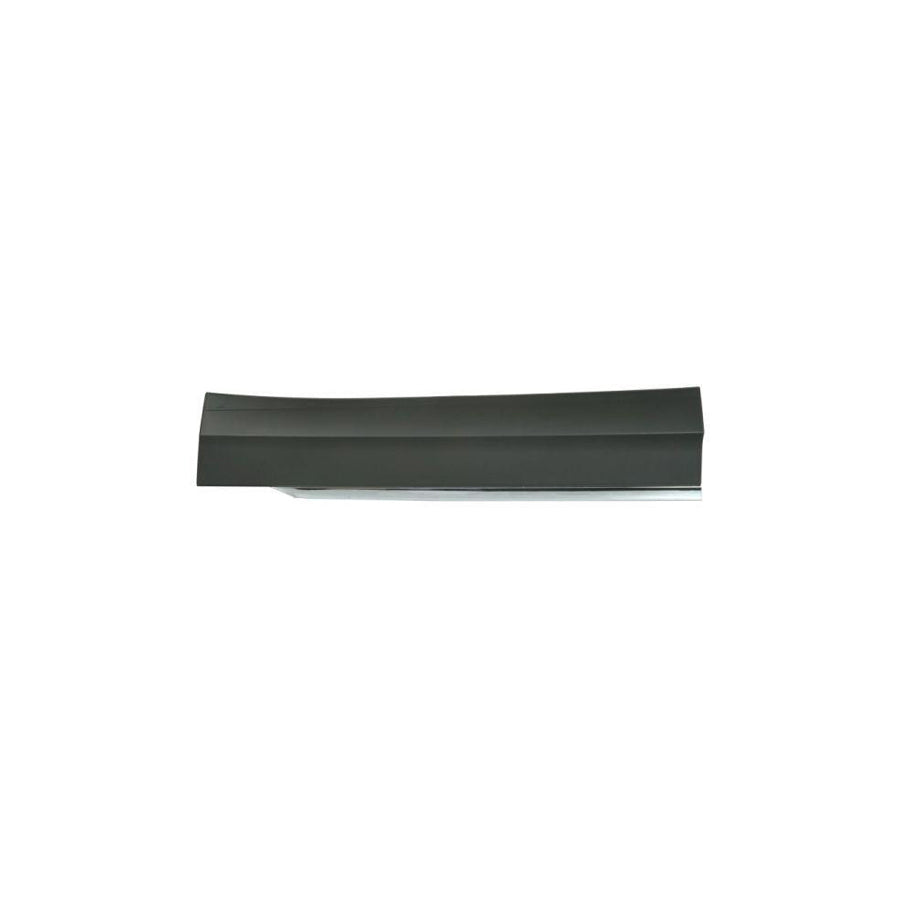 Blic 5703-02-9588972P Door Molding for VW Tiguan