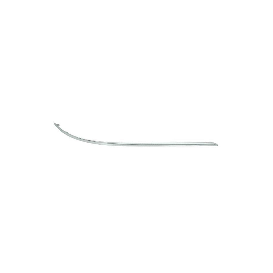 Blic 5703-05-3518974P Bumper Moulding Suitable for Mercedes-Benz C-Class