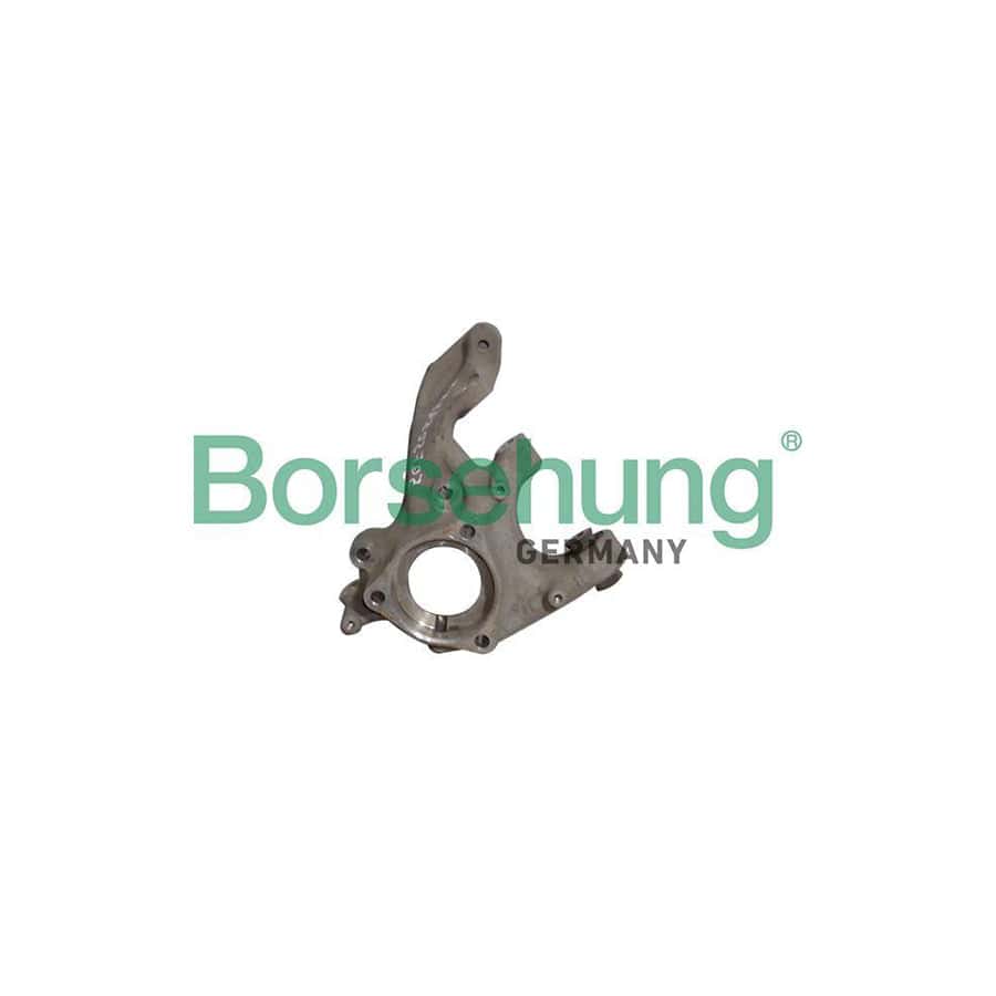 Borsehung B12115 Steering Knuckle for VW Tiguan II (Ad1)