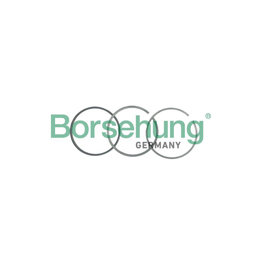 Borsehung B19048 Piston Ring Kit