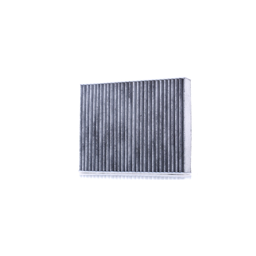 AUTOMEGA 180005610 Pollen Filter