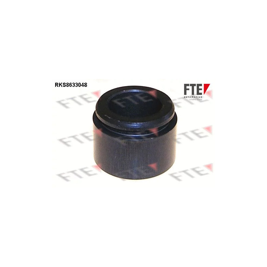 FTE 9313291 Piston, Brake Caliper