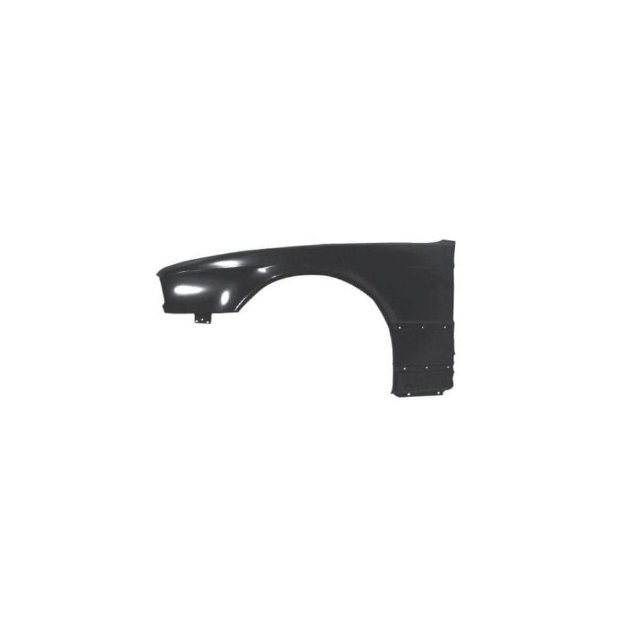 Abakus 00413201 Wing Fender for BMW 5 Series