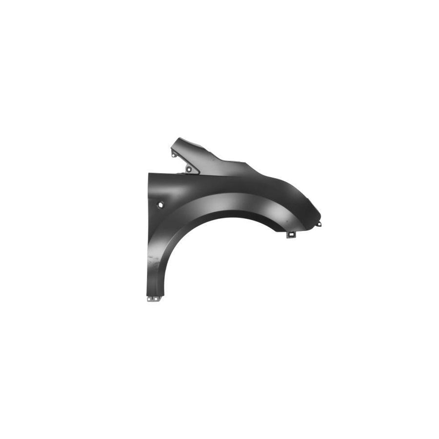 Blic 6504-04-2508312P Wing Fender