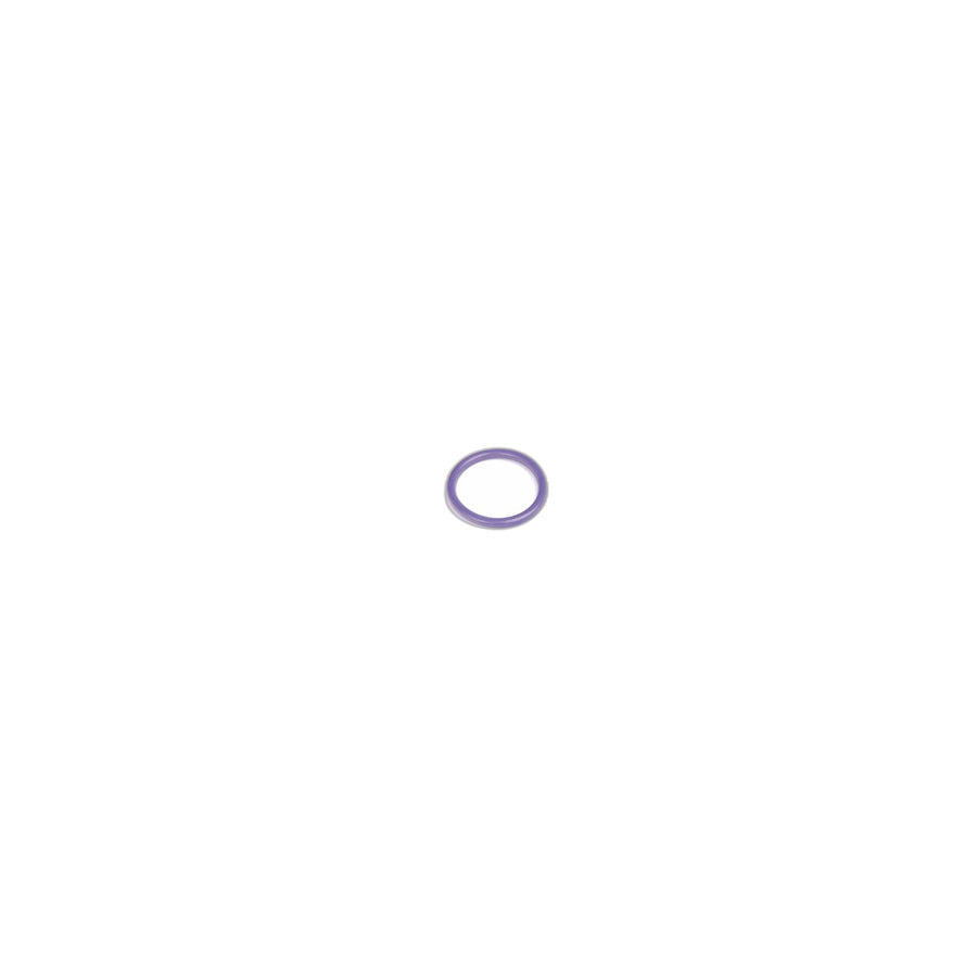 Genuine BMW 11317514982 R50 R53 O-Ring (Inc. One 1.6i, Cooper & Coop.S JCW GP)