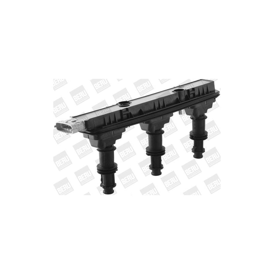 Beru Le058 Fan, Radiator for Peugeot 206