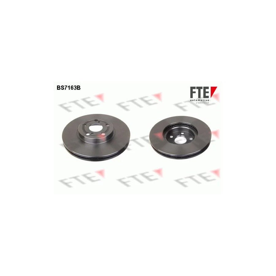 FTE 9082133 Brake Disc for Toyota Avensis