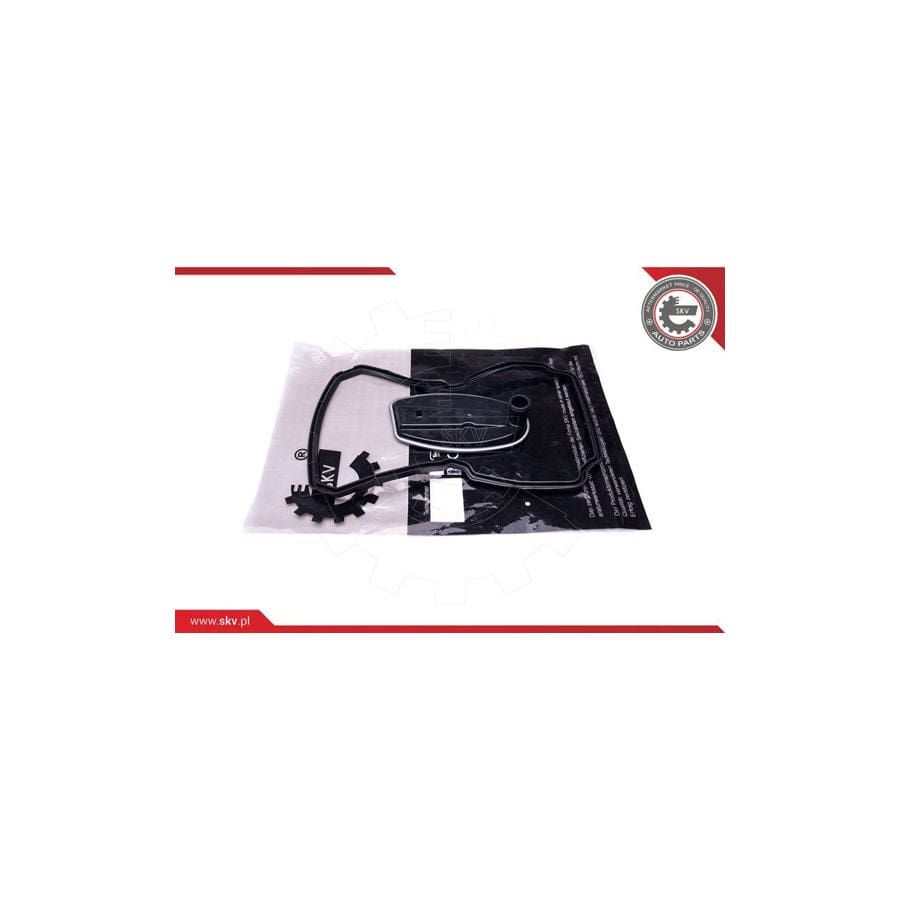 Esen Skv 96SKV064 Hydraulic Filter, Automatic Transmission