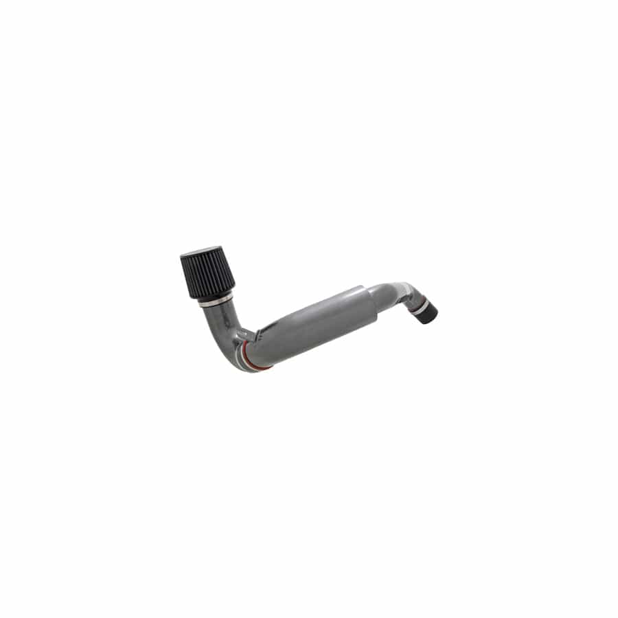 AEM 24-6004C Dual Chamber Intake System