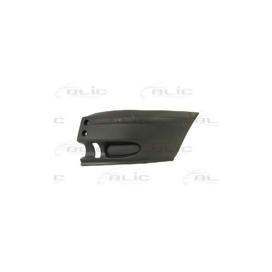 Blic 5507-00-2509911P Bumper for Ford Transit