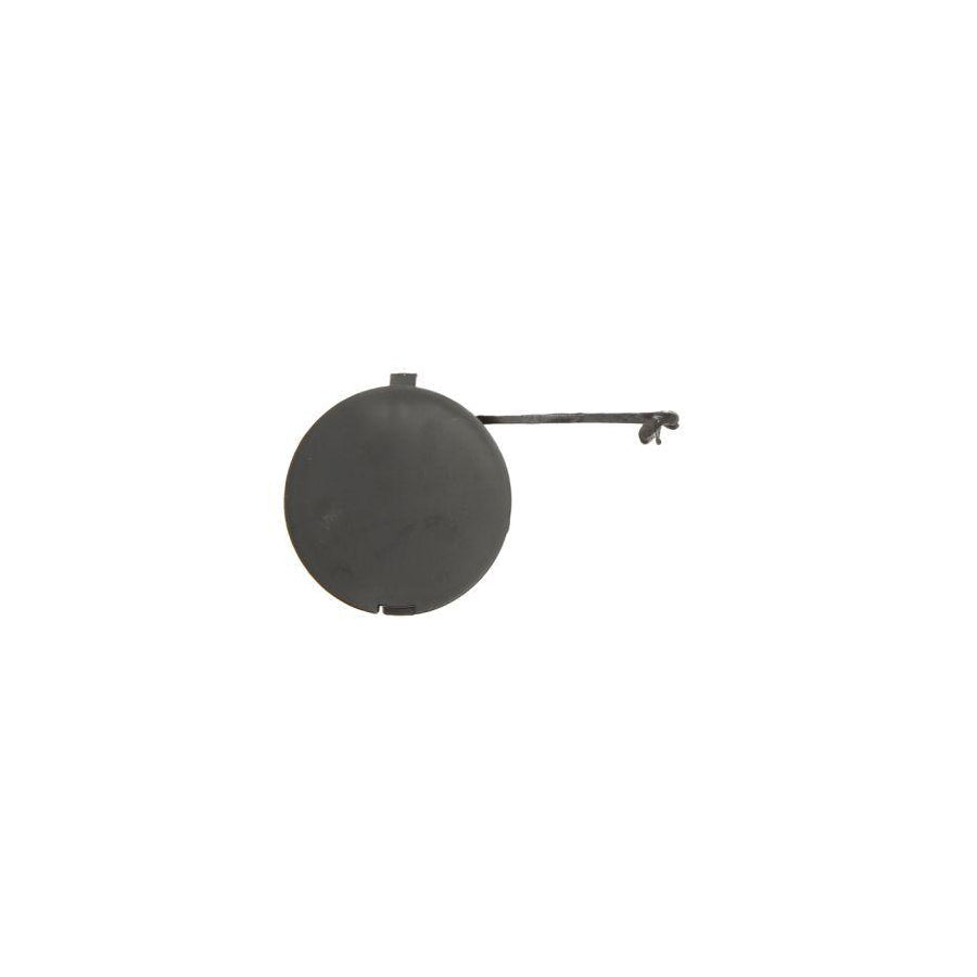 Blic 6502-07-2024920Q Flap, Tow Hook