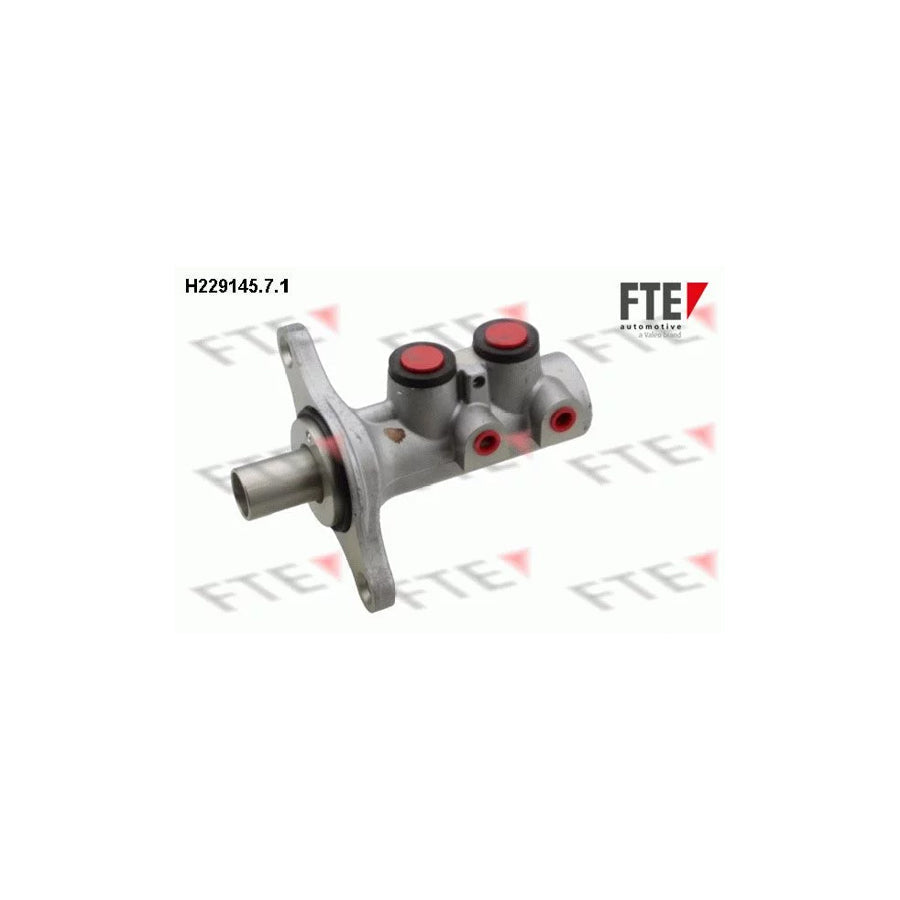 FTE H229145.7.1 Brake Master Cylinder