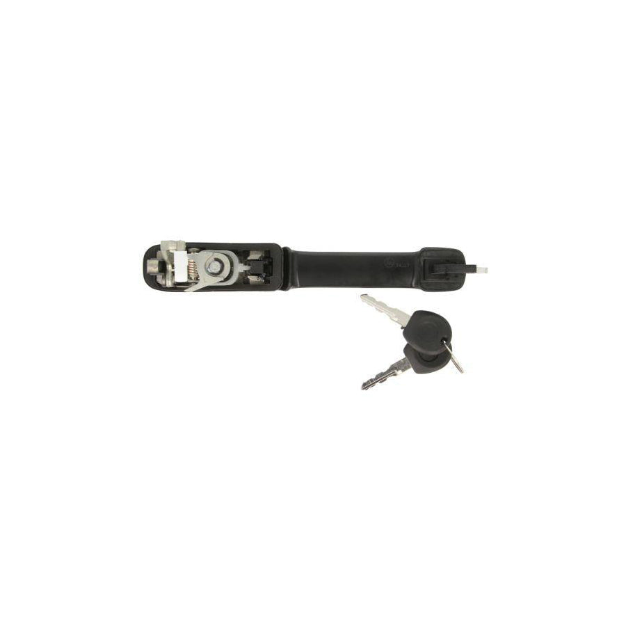 Blic 6010-01-060401Pp Door Handle for VW Passat