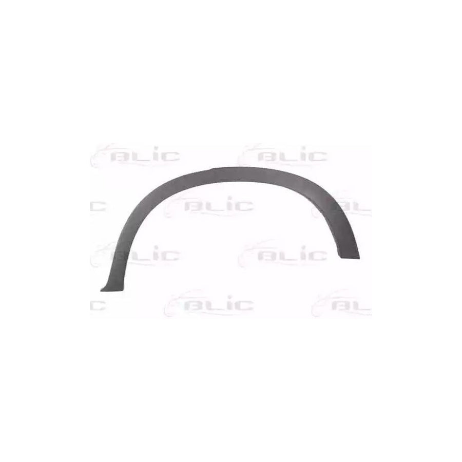 Blic 5703-04-0096595P Trim / Protective Strip, Mudguard for BMW X5 (E70)