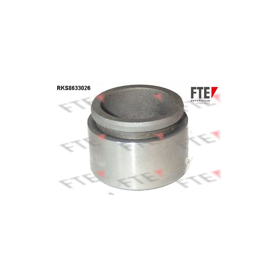 FTE 9313279 Piston, Brake Caliper