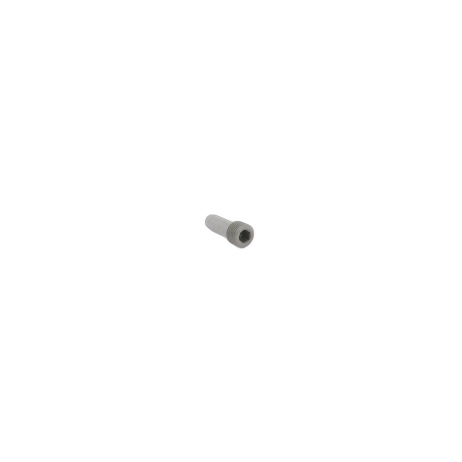Genuine BMW 11317830885 E85 E86 E36 Screw M10X1 (Inc. 320si, Z4 M3.2 & M3)