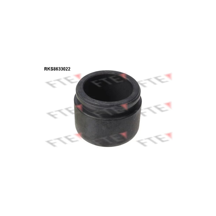 FTE 9313277 Piston, Brake Caliper