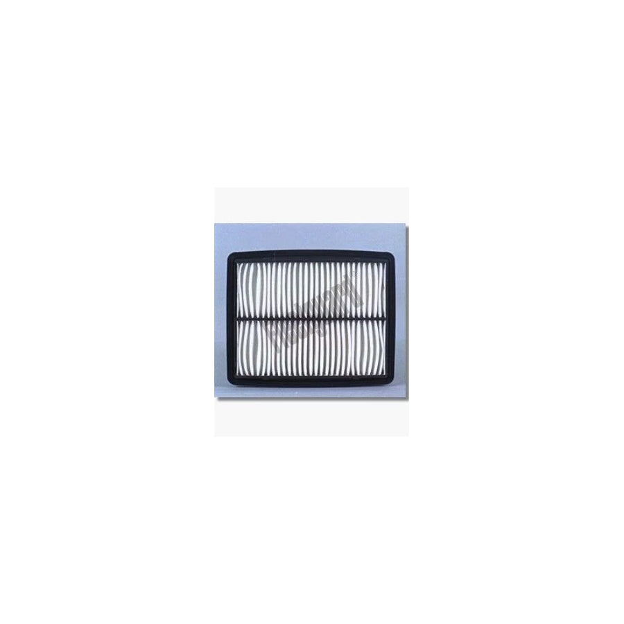 Fleetguard Af25017 Air Filter