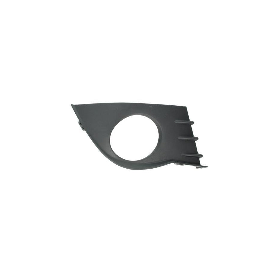 Blic 6010-21-039401P Door Handle for Citroen C3 II (Sc)