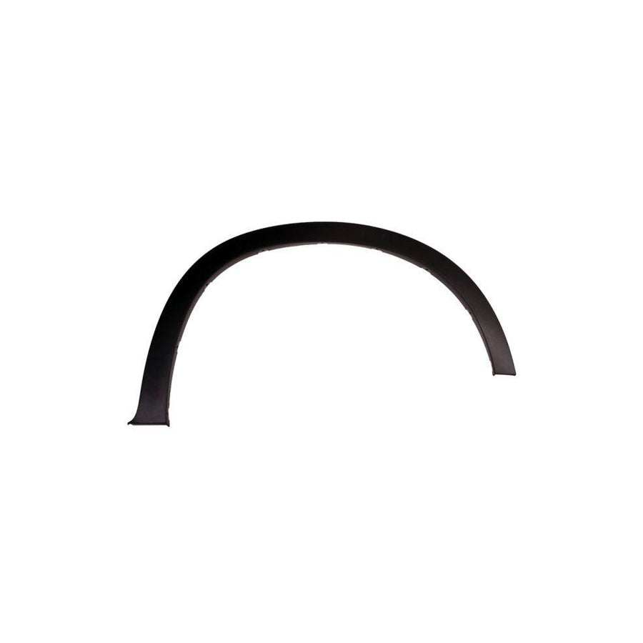 Blic 5703-04-0096422P Trim / Protective Strip, Mudguard for BMW X5 (E70)