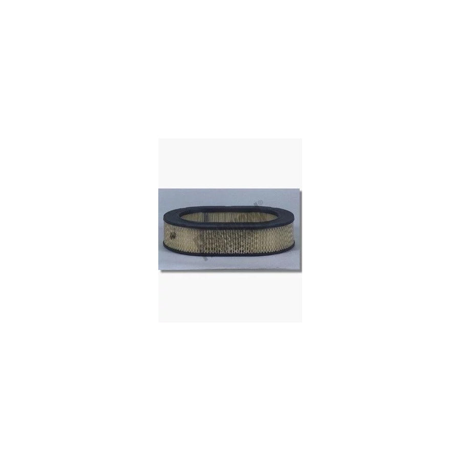 Fleetguard Af25014 Air Filter