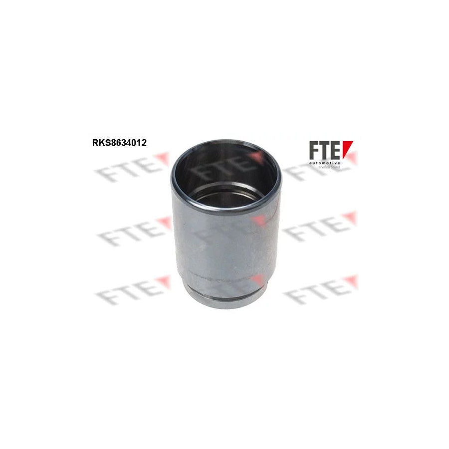 FTE 9313308 Piston, Brake Caliper