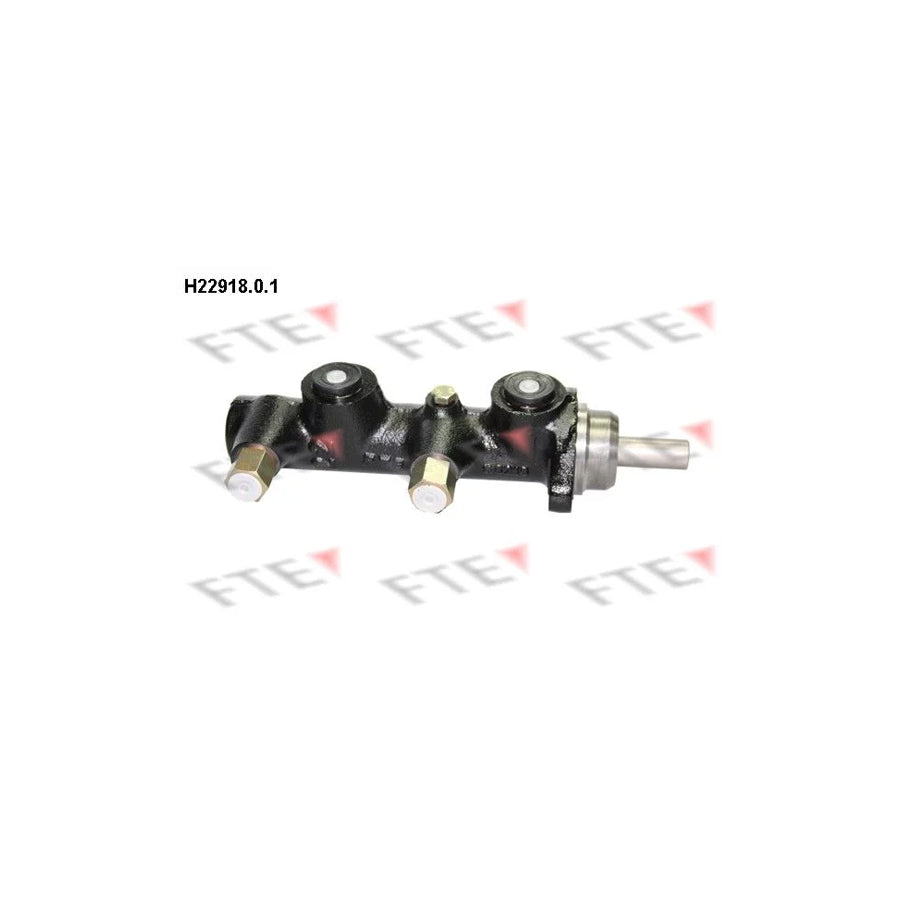 FTE H22918.0.1 Brake Master Cylinder