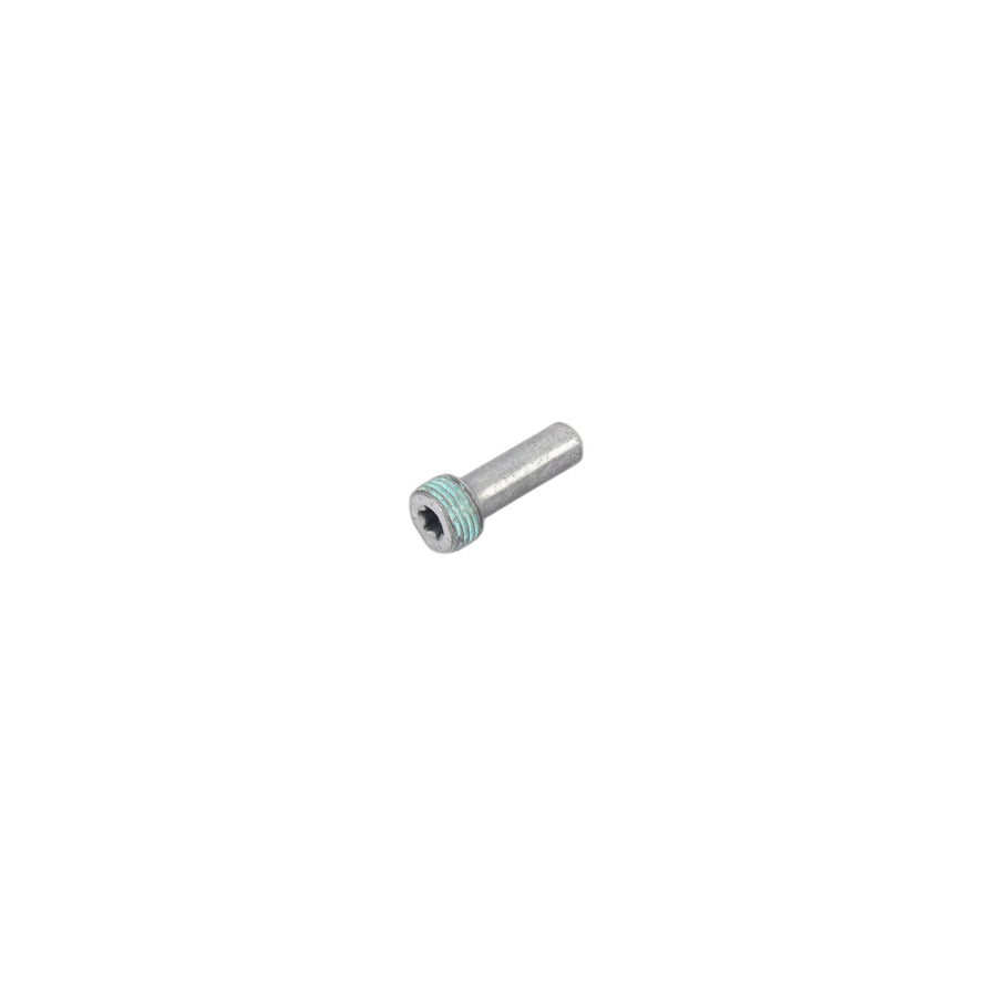 Genuine BMW 11317797900 F06 E61 Bolt (Inc. 740Le, 530i & X1 25dX)