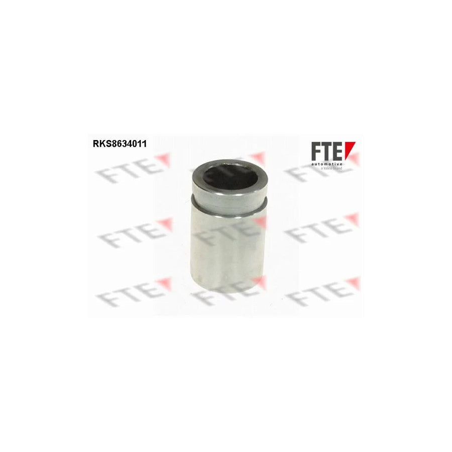 FTE 9313307 Piston, Brake Caliper