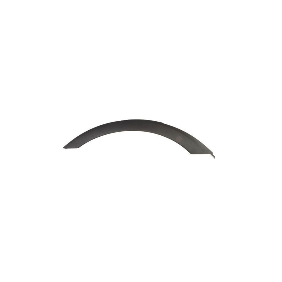 Blic 5703-04-0093596P Trim / Protective Strip, Mudguard for BMW X3 (E83)