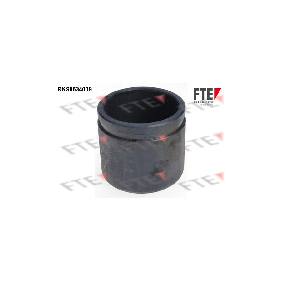 FTE 9313305 Piston, Brake Caliper