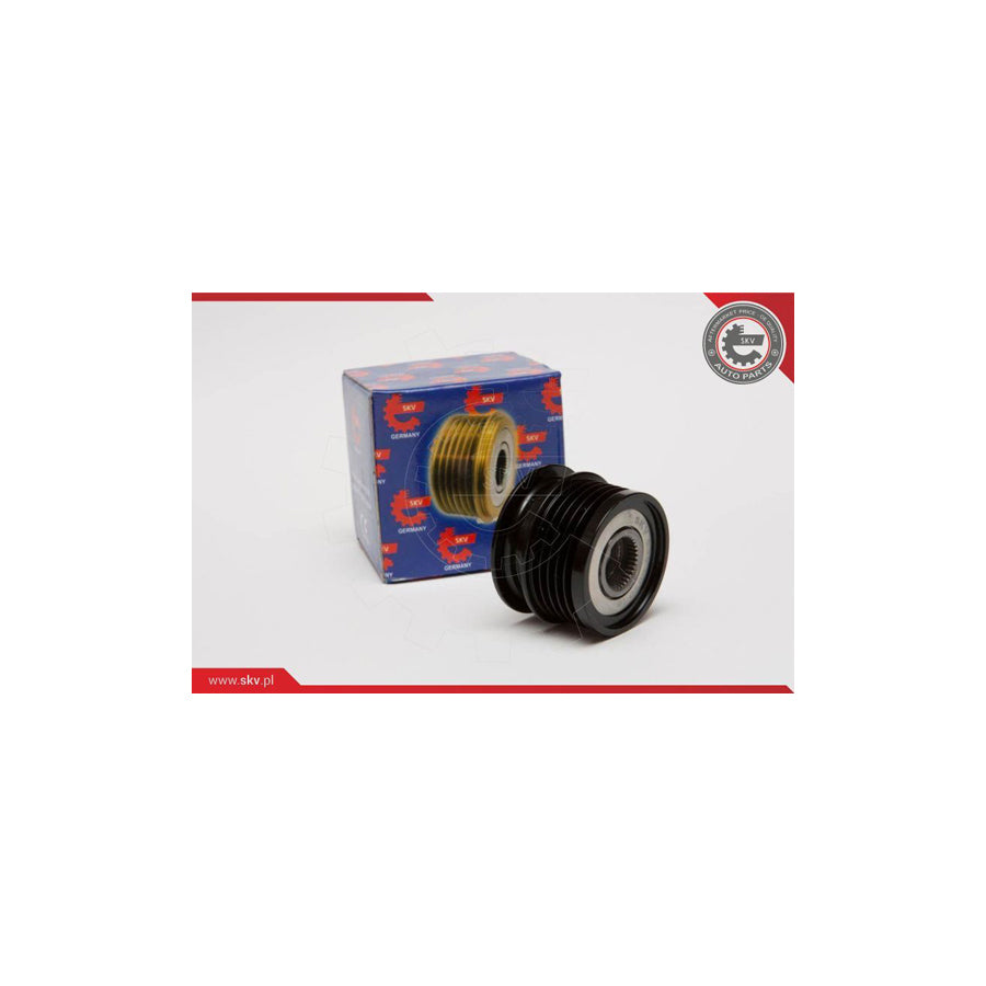 Esen Skv 11SKV014 Alternator Freewheel Clutch