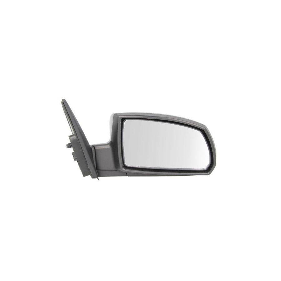 Blic 5402-53-2001550P Wing Mirror for KIA Rio