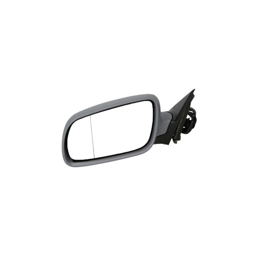 Blic 5402-04-1135111P Wing Mirror for VW Passat