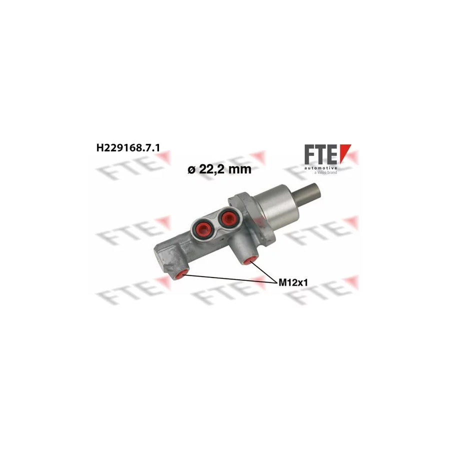 FTE H229168.7.1 Brake Master Cylinder