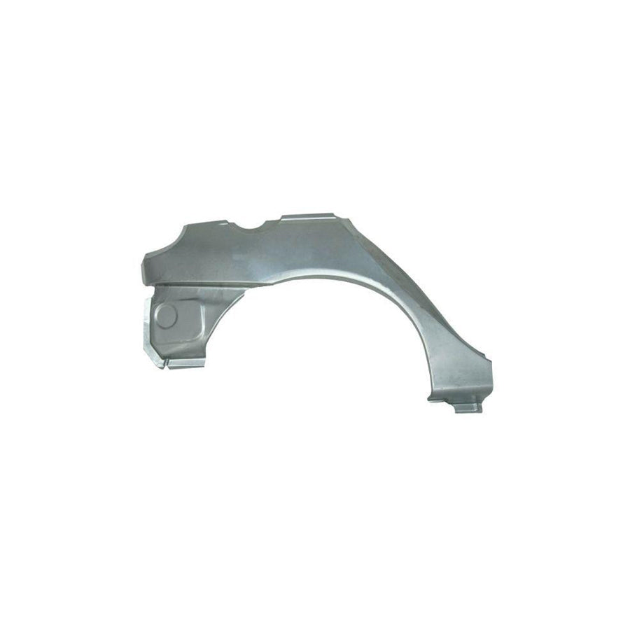 Blic 6504-03-6037584P Wing Fender for Renault Megane