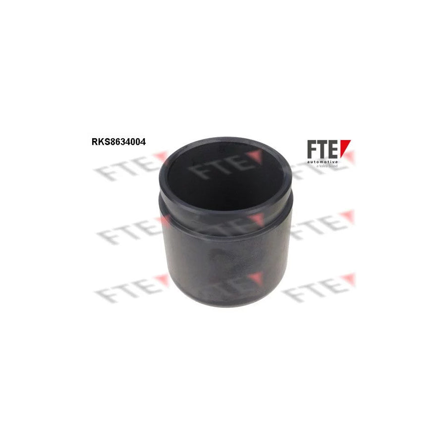 FTE 9313302 Piston, Brake Caliper