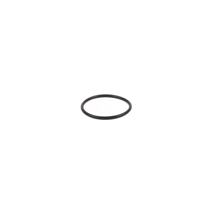 Genuine BMW Mini 13517528408 F07 F23 O-Ring (Inc. X4 35iX)