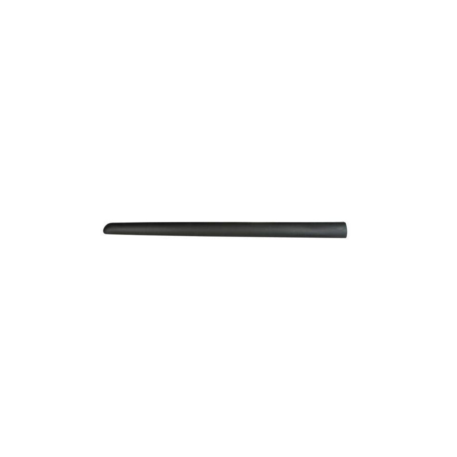 Blic 5703-04-0519572P Door Molding for Citroen C3 I Hatchback (Fc, Fn)