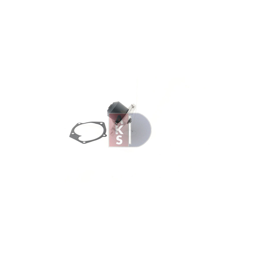 AKS Dasis 570198N Water Pump